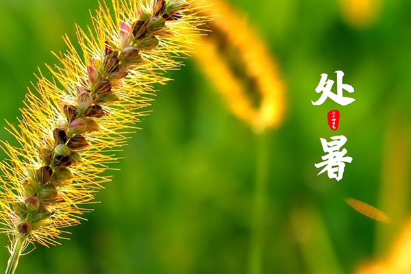 振文包装 | 挥别夏日，赶赴下一场漫天金黄