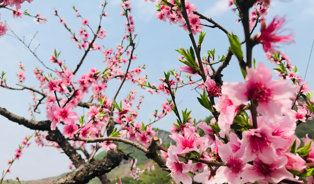 振文包装 | 欢迎广大顾客咨询下单